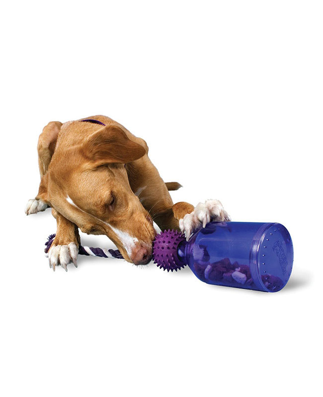 Cão Com Brinquedo Interactivo