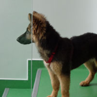 Julieta