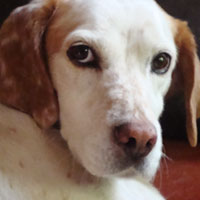 Maggie